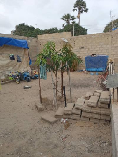 Vente Terrain clôturé  de 150 m² à Bambilor 