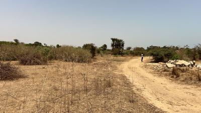 Terrain 1200 mètres carrés à vendre à Saly Sé