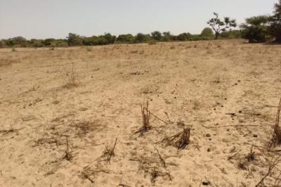 Terrain de 9942 m² vers Sandiara