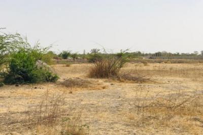 Terrain de 9115 m² vers Nguéniène