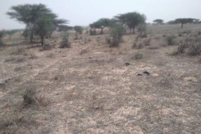 Terrain de 9,22 hectares vers Thieppe