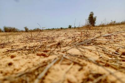 Terrain de 7,36 hectares vers Kébémer