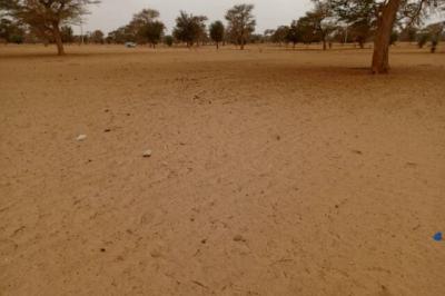 Terrain de 7130 m² vers Touba Toul