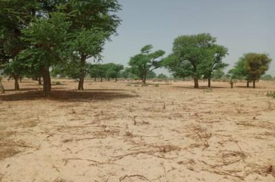 Terrain de 7141 m² vers Tassette