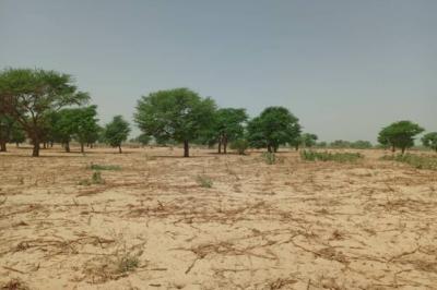 Terrain de 7141 m² vers Tassette