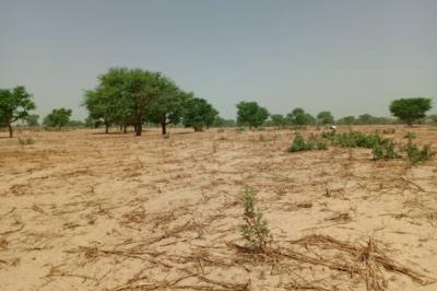 Terrain de 7141 m² vers Tassette