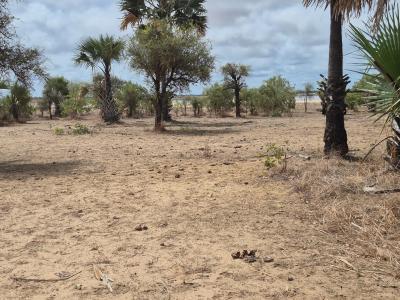 Terrain 600 mètres carrés à vendre à Ndayane S