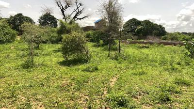 Terrain de 225 mètres carrés à vendre à Gandig