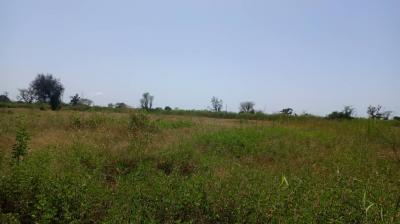 Terrain 1 hectare à vendre à Mbourokh Sénégal