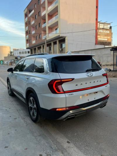 Hyundai santafé 2019