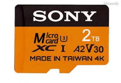 Carte Sony microSDXC 2TB 