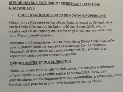 Terrains à vendre à Yenne Deni Biram Ndao